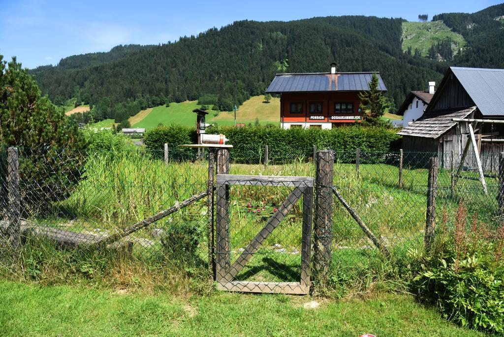 Fruehstueckspension Pachler โกเซา ภายนอก รูปภาพ